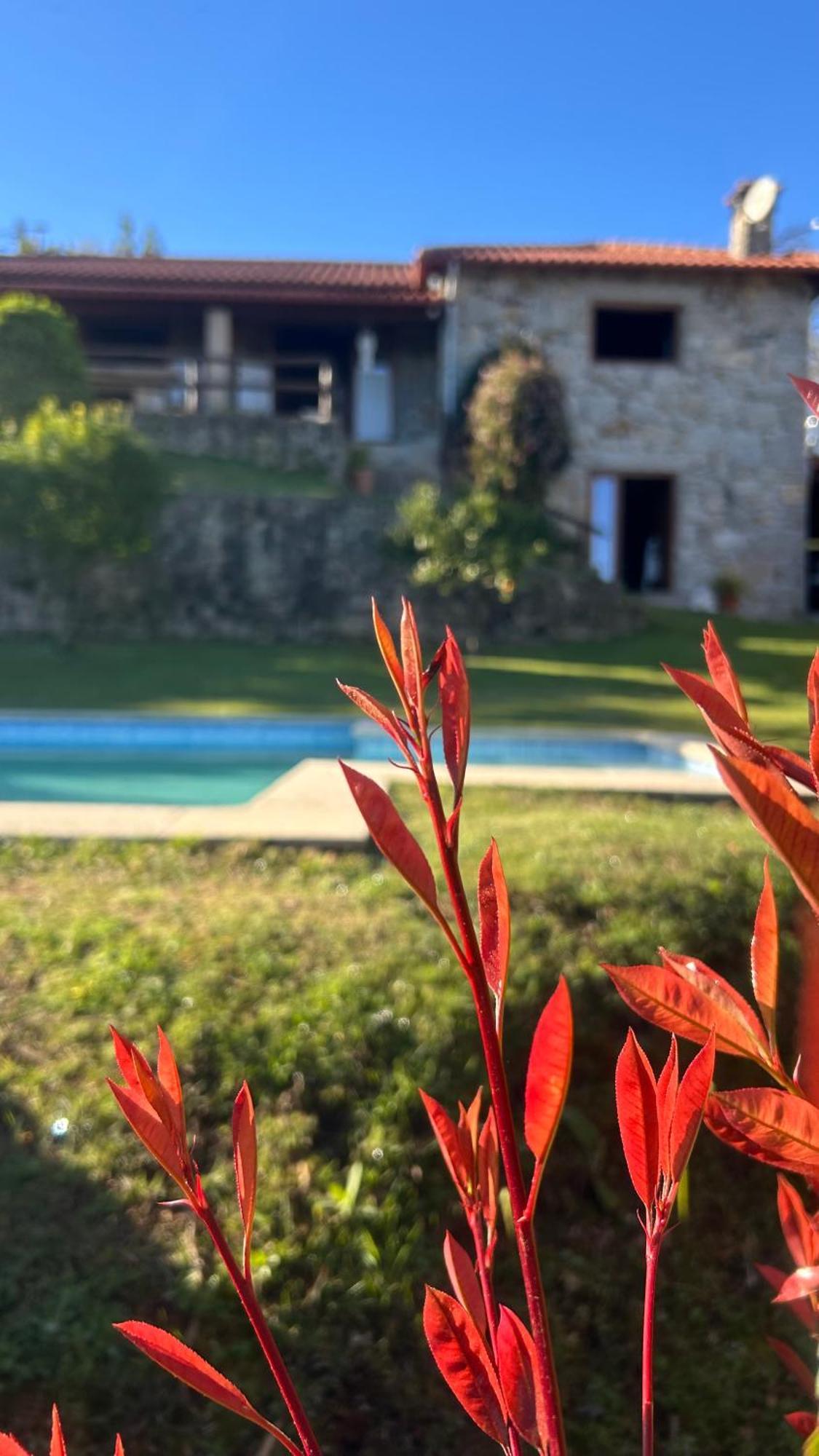 Casa Das Andorinhas Celorico De Basto Dış mekan fotoğraf
